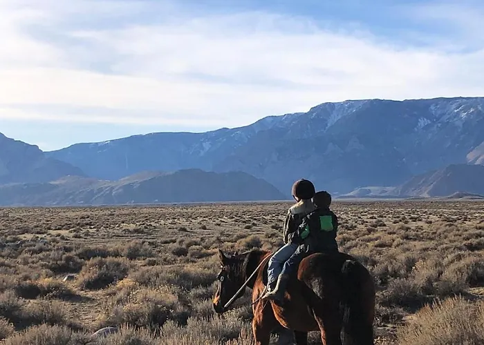 New Listing! Rocky Mountain Double Master